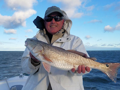 Marc Hanlon holds up a nice Red Drum caught on the Pamlico Sound.