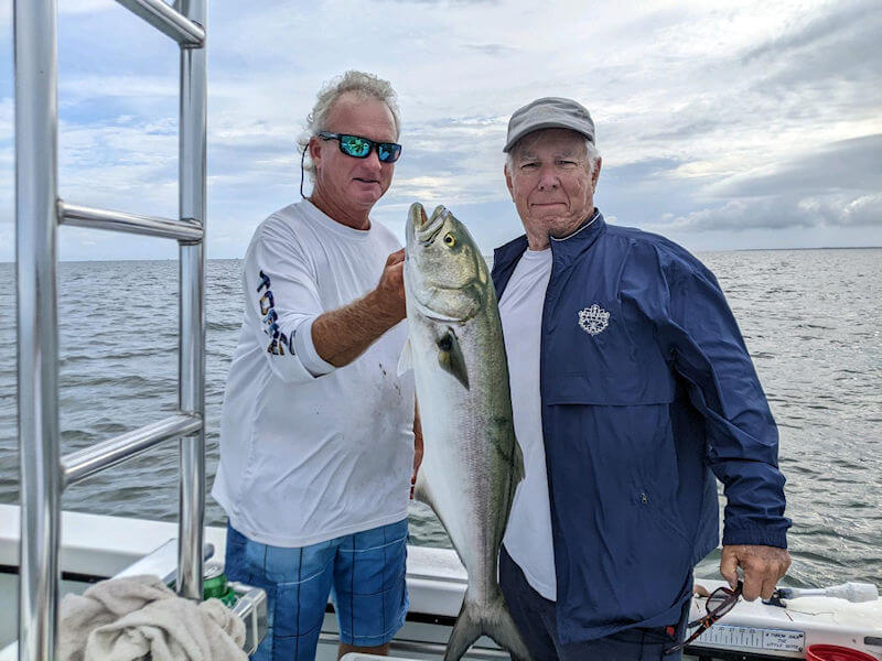 Capt. Rick hold Tony's bluefish for a picture and then releases it.